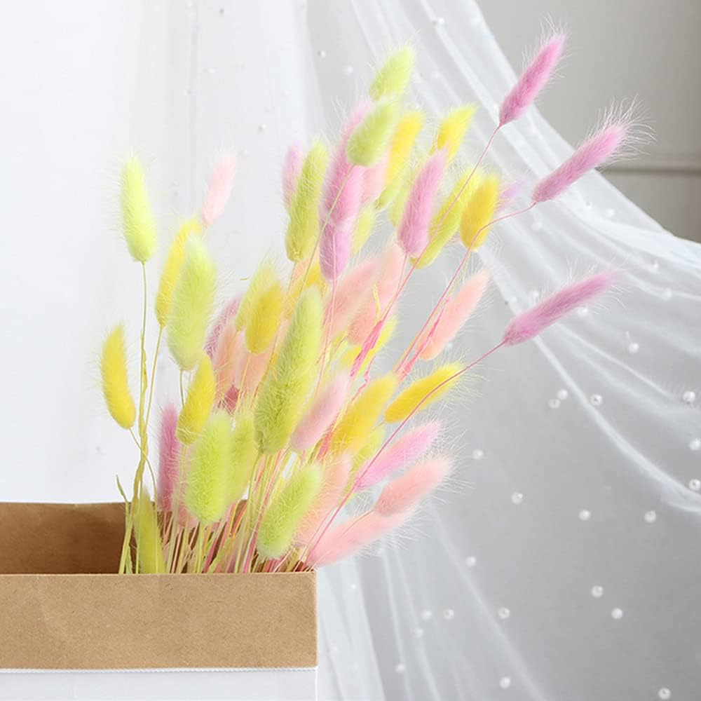 120 Pcs Dried Rabbit Tail Grass Dried Grasses Natural Dry Grass Dried Flowers Real Flower Eternal Flower for Home Decoration and Photo Props Wedding Decor (Yellow)
