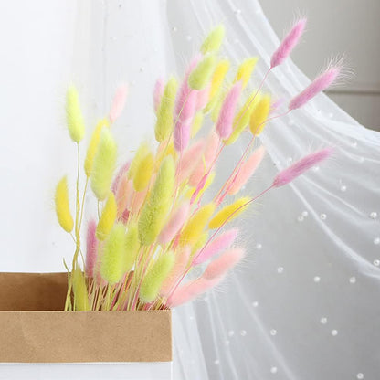120 Pcs Dried Rabbit Tail Grass Dried Grasses Natural Dry Grass Dried Flowers Real Flower Eternal Flower for Home Decoration and Photo Props Wedding Decor (Yellow)