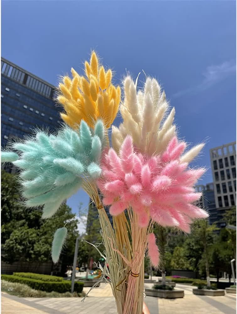 120 Pcs Dried Rabbit Tail Grass Dried Grasses Natural Dry Grass Dried Flowers Real Flower Eternal Flower for Home Decoration and Photo Props Wedding Decor (Yellow)