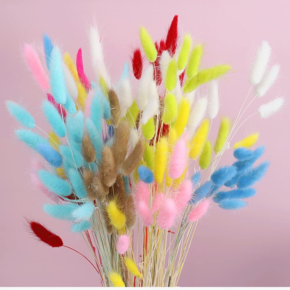 120 Pcs Dried Rabbit Tail Grass Dried Grasses Natural Dry Grass Dried Flowers Real Flower Eternal Flower for Home Decoration and Photo Props Wedding Decor (Yellow)