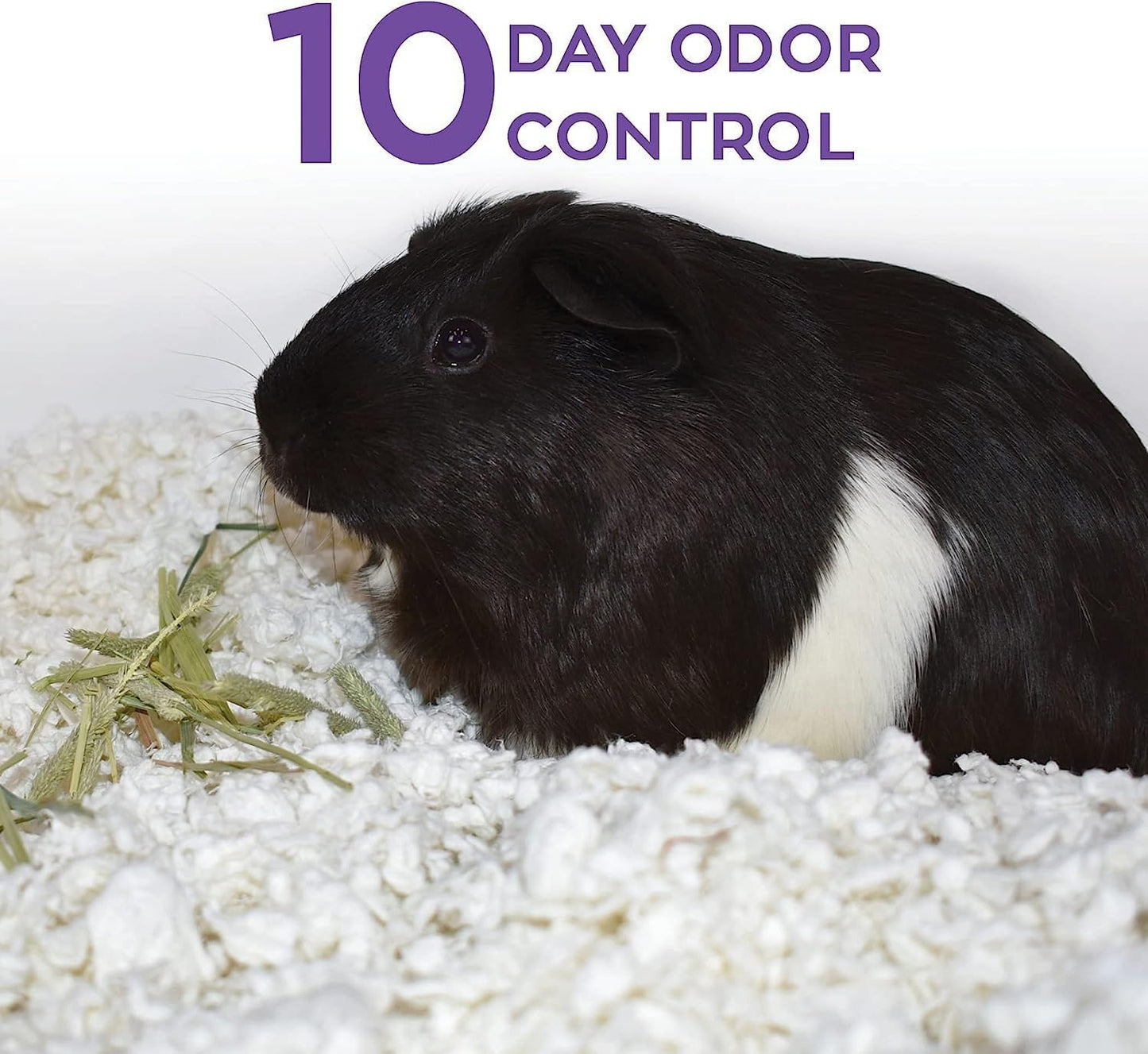 Confetti Small Pet Bedding, 99% Dust-Free Natural Paper with Superior 10 Day Odor Control & Absorption for Guinea Pigs, Hamsters, 50L, (Pack May Vary) (L0410) | 2X more absorbent, 99% dust free, odor control, Biodegradable and compostable, For hamsters,