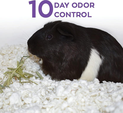 Confetti Small Pet Bedding, 99% Dust-Free Natural Paper with Superior 10 Day Odor Control & Absorption for Guinea Pigs, Hamsters, 50L, (Pack May Vary) (L0410) | 2X more absorbent, 99% dust free, odor control, Biodegradable and compostable, For hamsters,