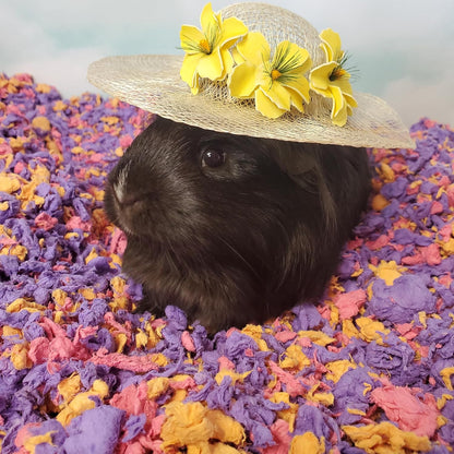 Confetti Small Pet Bedding, 99% Dust-Free Natural Paper with Superior 10 Day Odor Control & Absorption for Guinea Pigs, Hamsters, 50L, (Pack May Vary) (L0410) | 2X more absorbent, 99% dust free, odor control, Biodegradable and compostable, For hamsters,