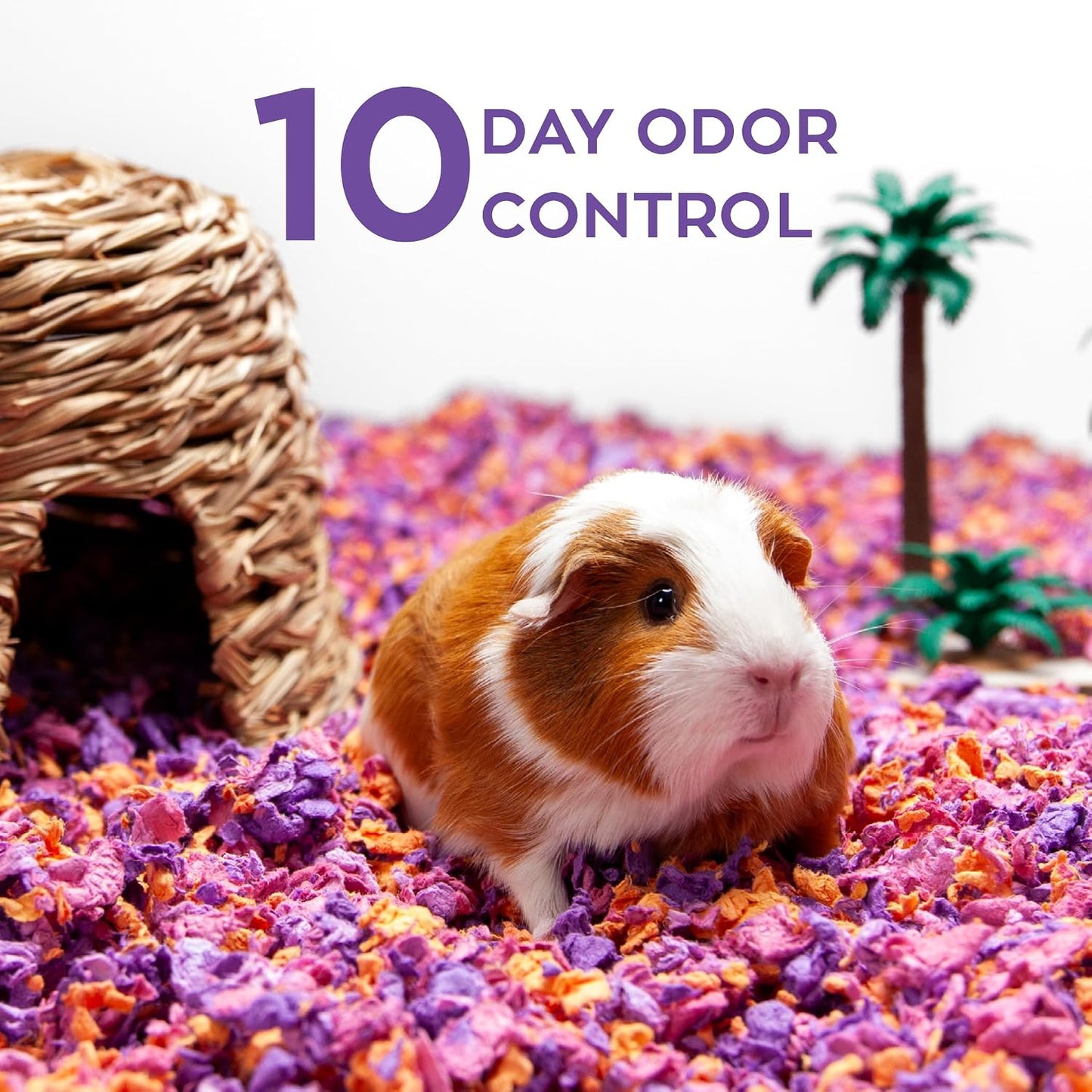 Confetti Small Pet Bedding, 99% Dust-Free Natural Paper with Superior 10 Day Odor Control & Absorption for Guinea Pigs, Hamsters, 50L, (Pack May Vary) (L0410) | 2X more absorbent, 99% dust free, odor control, Biodegradable and compostable, For hamsters,