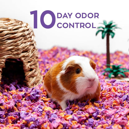 Confetti Small Pet Bedding, 99% Dust-Free Natural Paper with Superior 10 Day Odor Control & Absorption for Guinea Pigs, Hamsters, 50L, (Pack May Vary) (L0410) | 2X more absorbent, 99% dust free, odor control, Biodegradable and compostable, For hamsters,