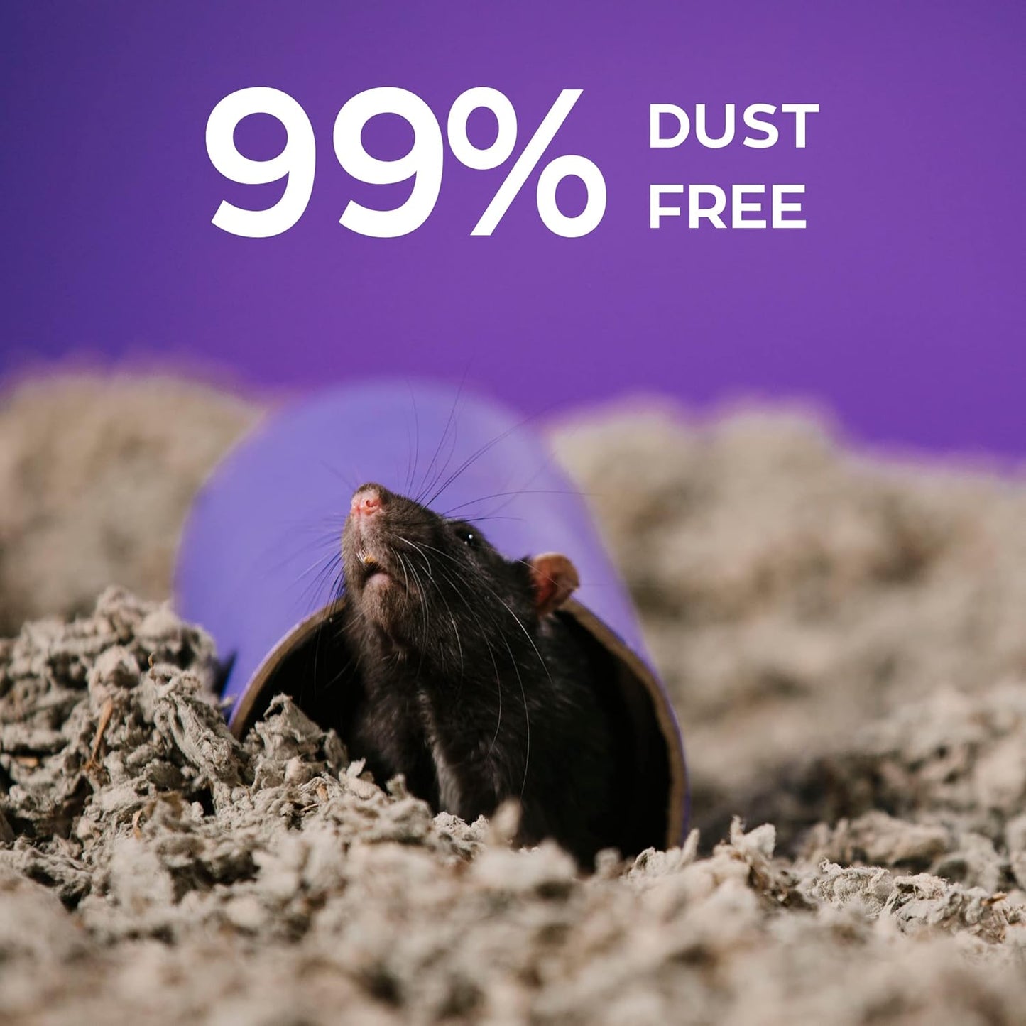 Confetti Small Pet Bedding, 99% Dust-Free Natural Paper with Superior 10 Day Odor Control & Absorption for Guinea Pigs, Hamsters, 50L, (Pack May Vary) (L0410) | 2X more absorbent, 99% dust free, odor control, Biodegradable and compostable, For hamsters,
