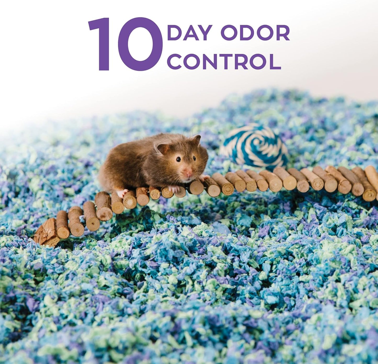 Confetti Small Pet Bedding, 99% Dust-Free Natural Paper with Superior 10 Day Odor Control & Absorption for Guinea Pigs, Hamsters, 50L, (Pack May Vary) (L0410) | 2X more absorbent, 99% dust free, odor control, Biodegradable and compostable, For hamsters,