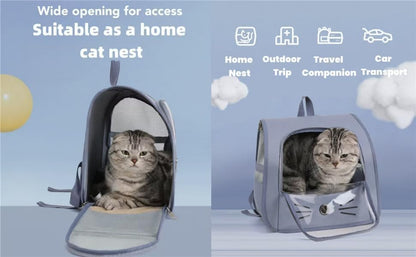 Pet Backpack Carrier, Traveler Breathable Transparent Carrier for Cats or Dogs, Large Space and Foldable Pet Carrier for Travel, Hiking, Shopping, and Vet, Cute, Suitable for Kids (Yellow)